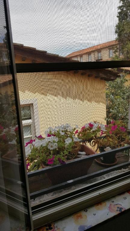 Mavi's bedrooms – Lucca